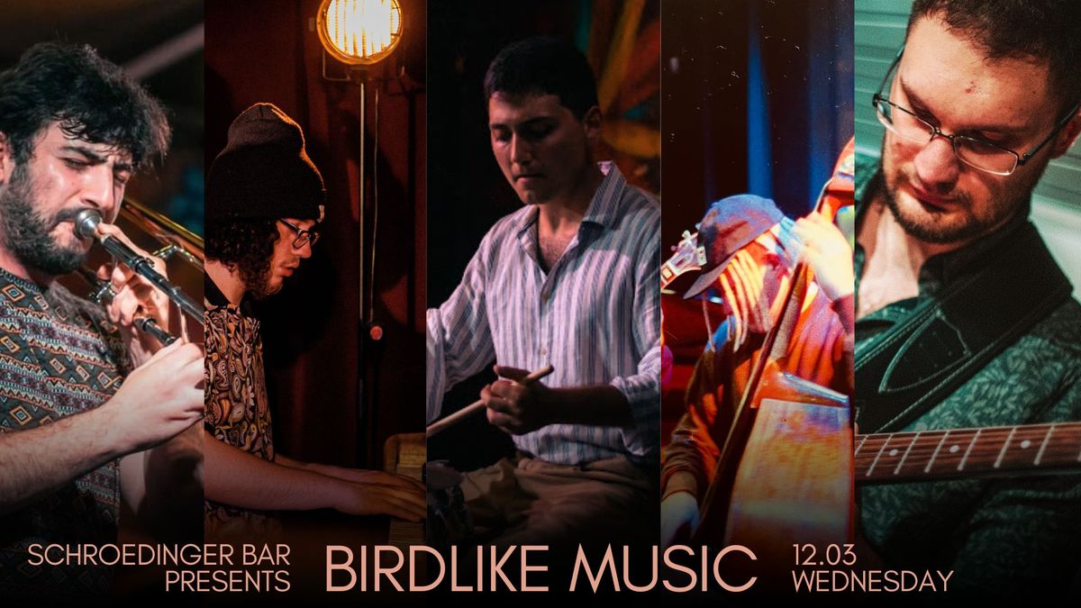 BIRDLIKE MUSIC feat. Denis Ascani