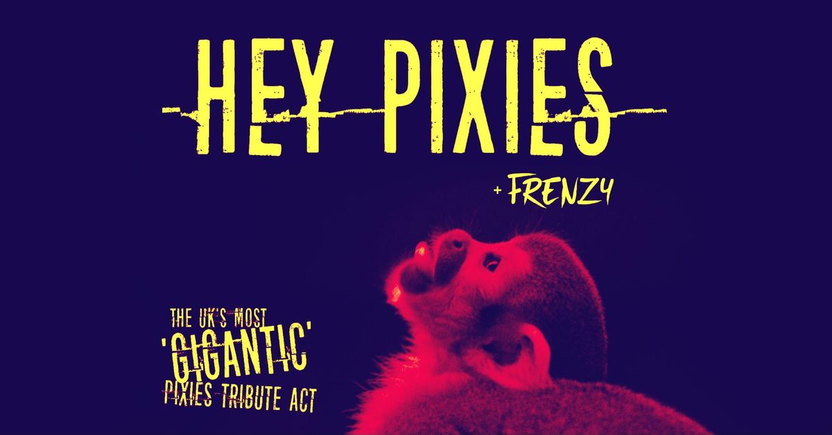 Hey Pixies + Frenzy | Bedford