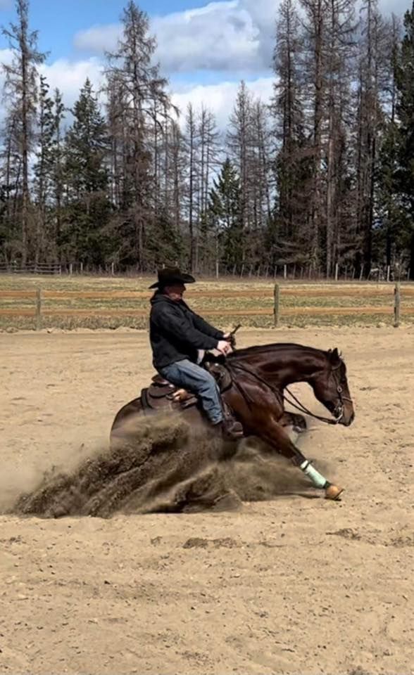 Kyle Weston Reining & Horsemanship Clinic