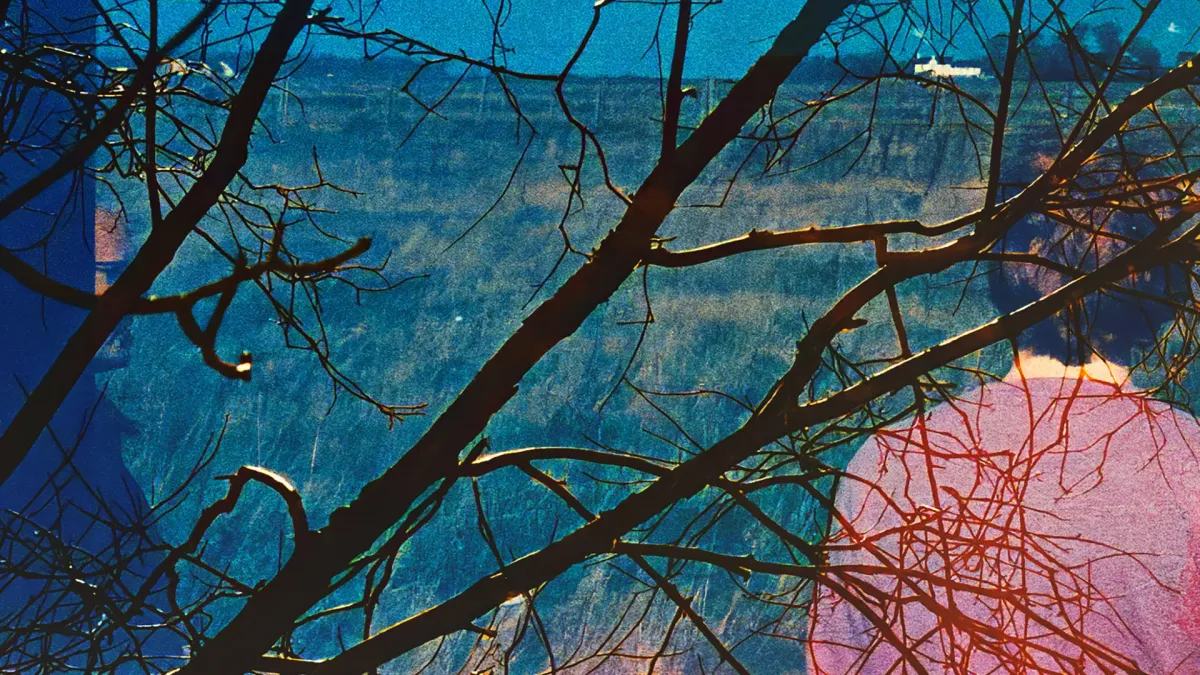 IDLEWILD + SLATE + MORE in Wrexham