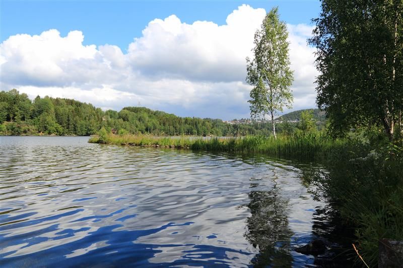 Erfaringer fra tiltak for et godt vannmilj\u00f8