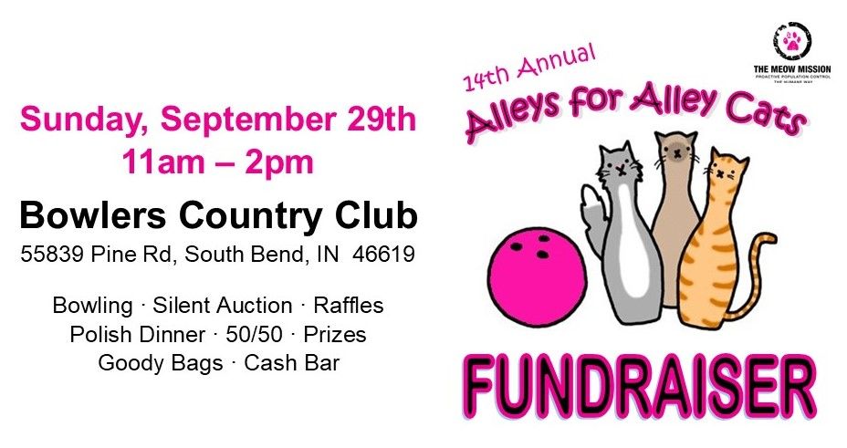 14th annual Alleys for Alley Cats Fundraiser