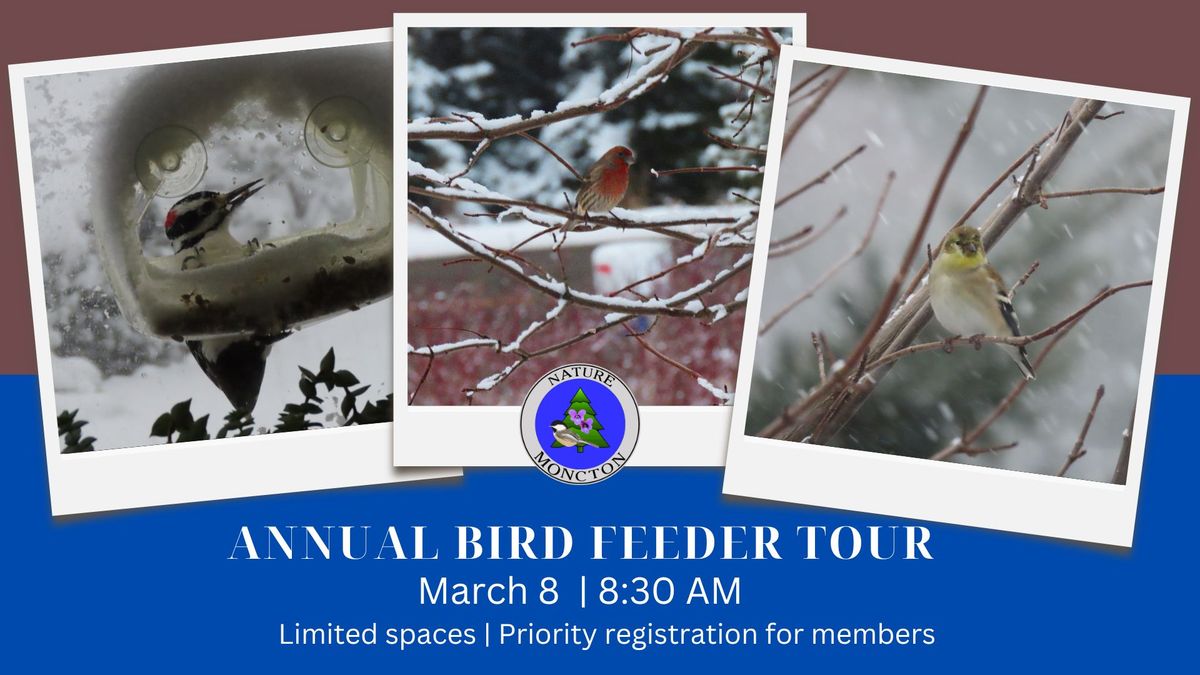 Nature Moncton's Annual Bird Feeder Tour