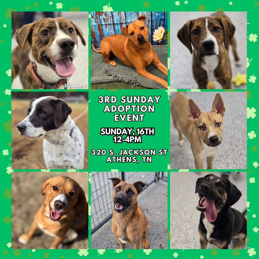 3rd SUNDAY Adoption Event