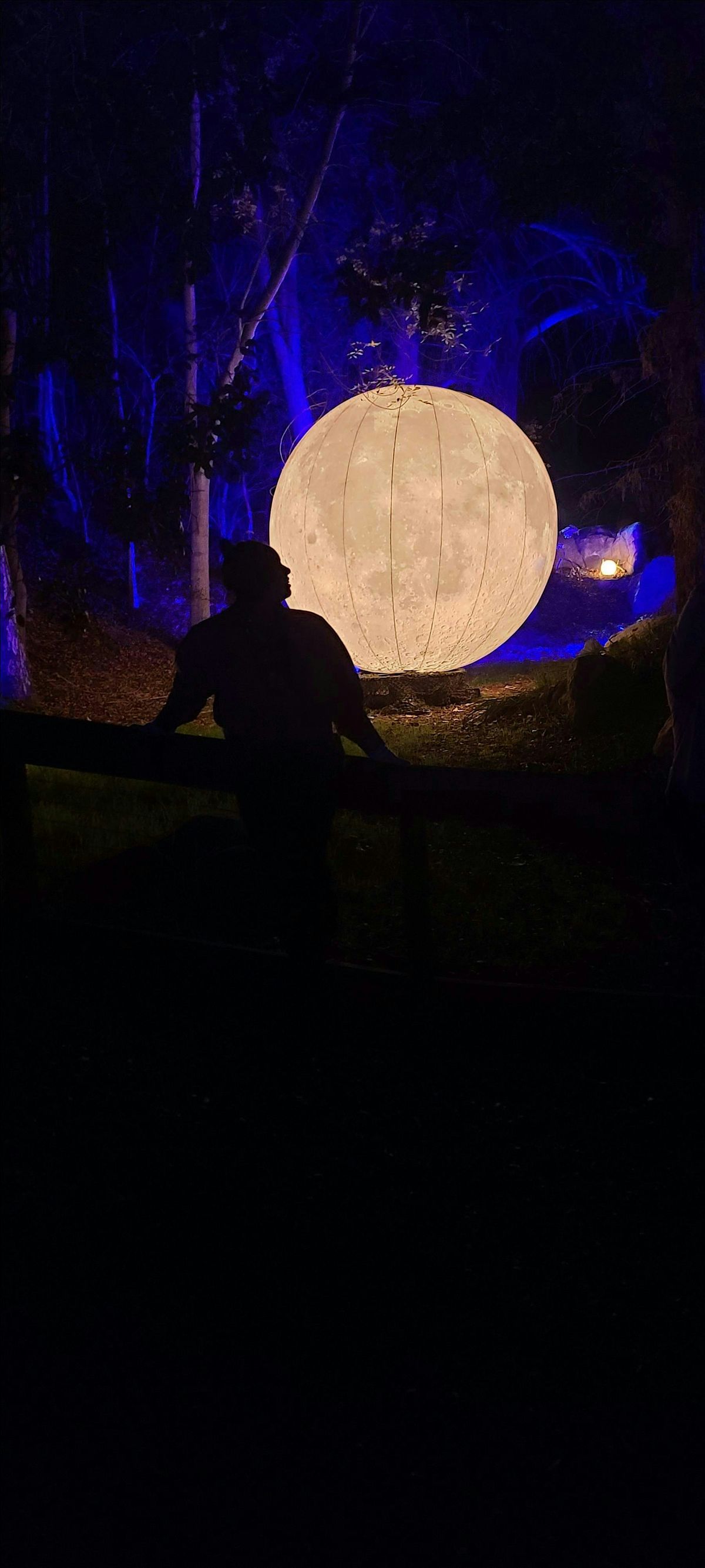 New Moon: A Ritual for Ancestral Healing