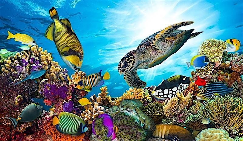 \u2600\ufe0fSummer Week 7 - Australia & Oceania, Natural Wonders