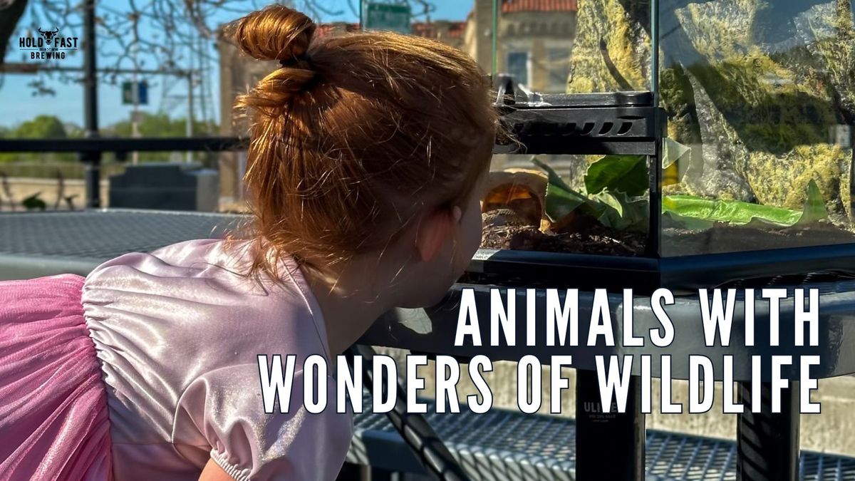 Animal Meet-and-Greet with Wonders of Wildlife