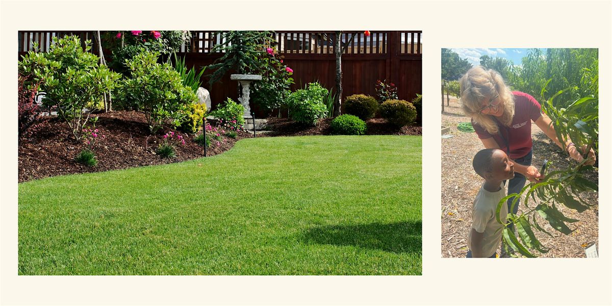Growing Healthy Lawns with Texas A & M