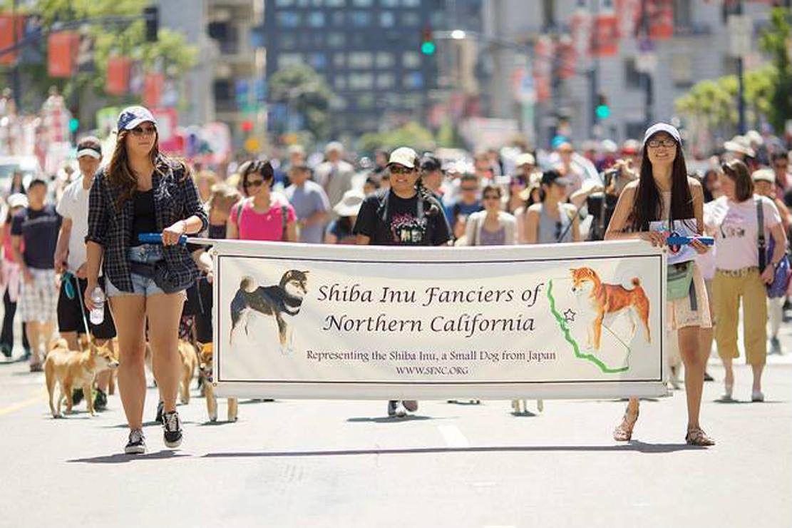 2025 SF Grand Parade - Shiba Particpants