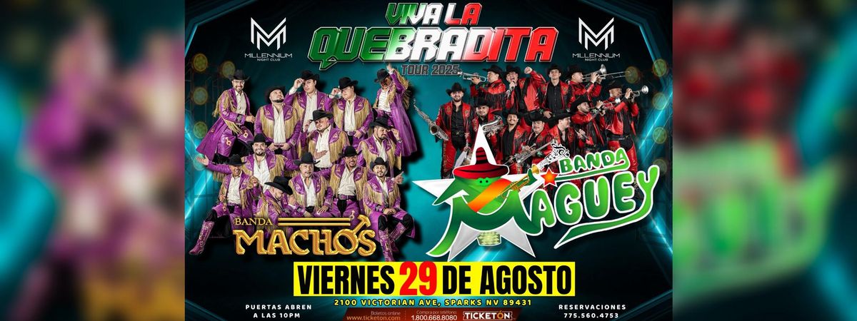 BANDA MACHOS & BANDA MAGUEY
