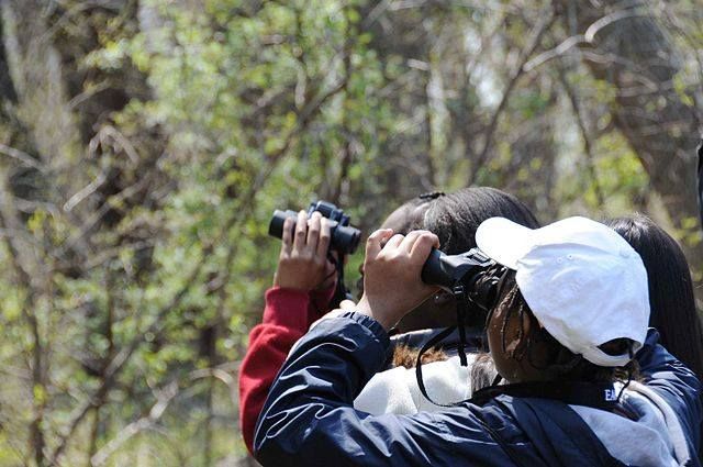 Youth Birding in Roberts Bird Sanctuary