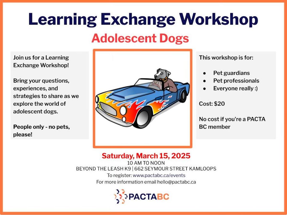 Adolescent Dogs - Learning Exchange Workshop