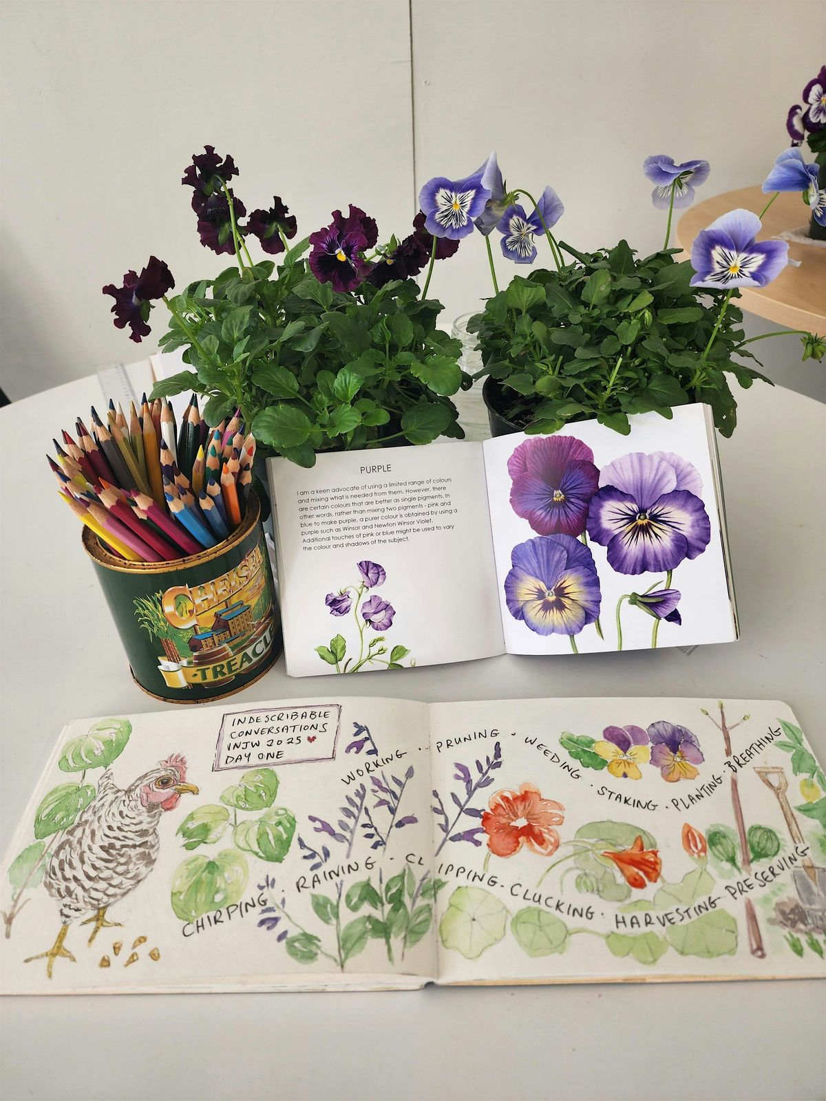 Botanical Art Classes | Highwic (18 Feb - 25 Mar)