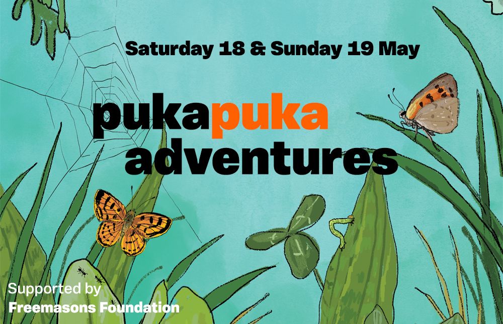 Pukapuka Adventures: Saturday 18 May