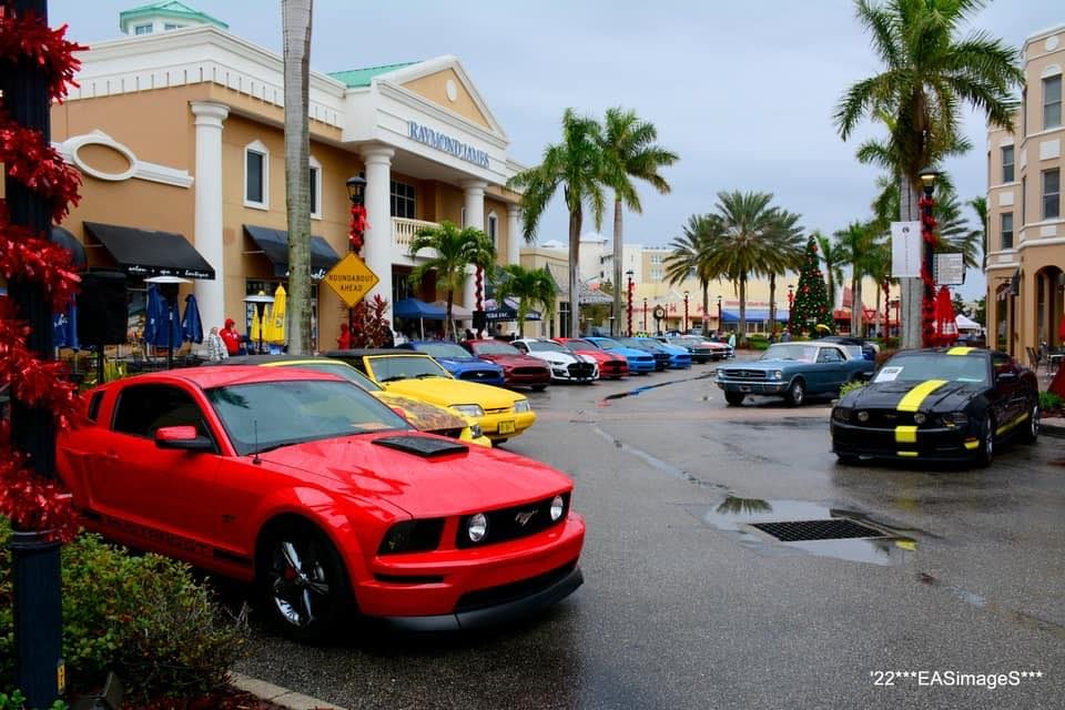 Ponies Under the Palms