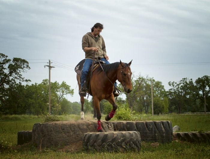 V\u00e1clav Bo\u0159\u00e1nek - Horsemanship III. (praktick\u00e9 uk\u00e1zky a cvi\u010den\u00ed pro v\u00fdchovu jezdce a kon\u011b pod sedlem)