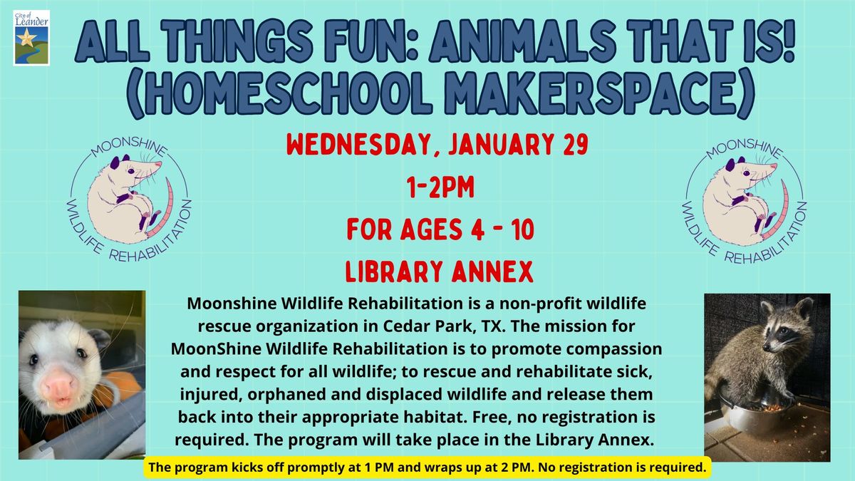 Homeschool Makerspace: All Things Fun: Animals That Is!