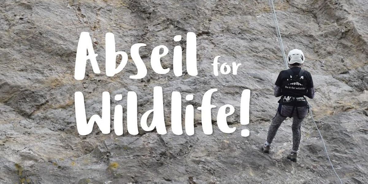 Abseil for Wildlife 2024!