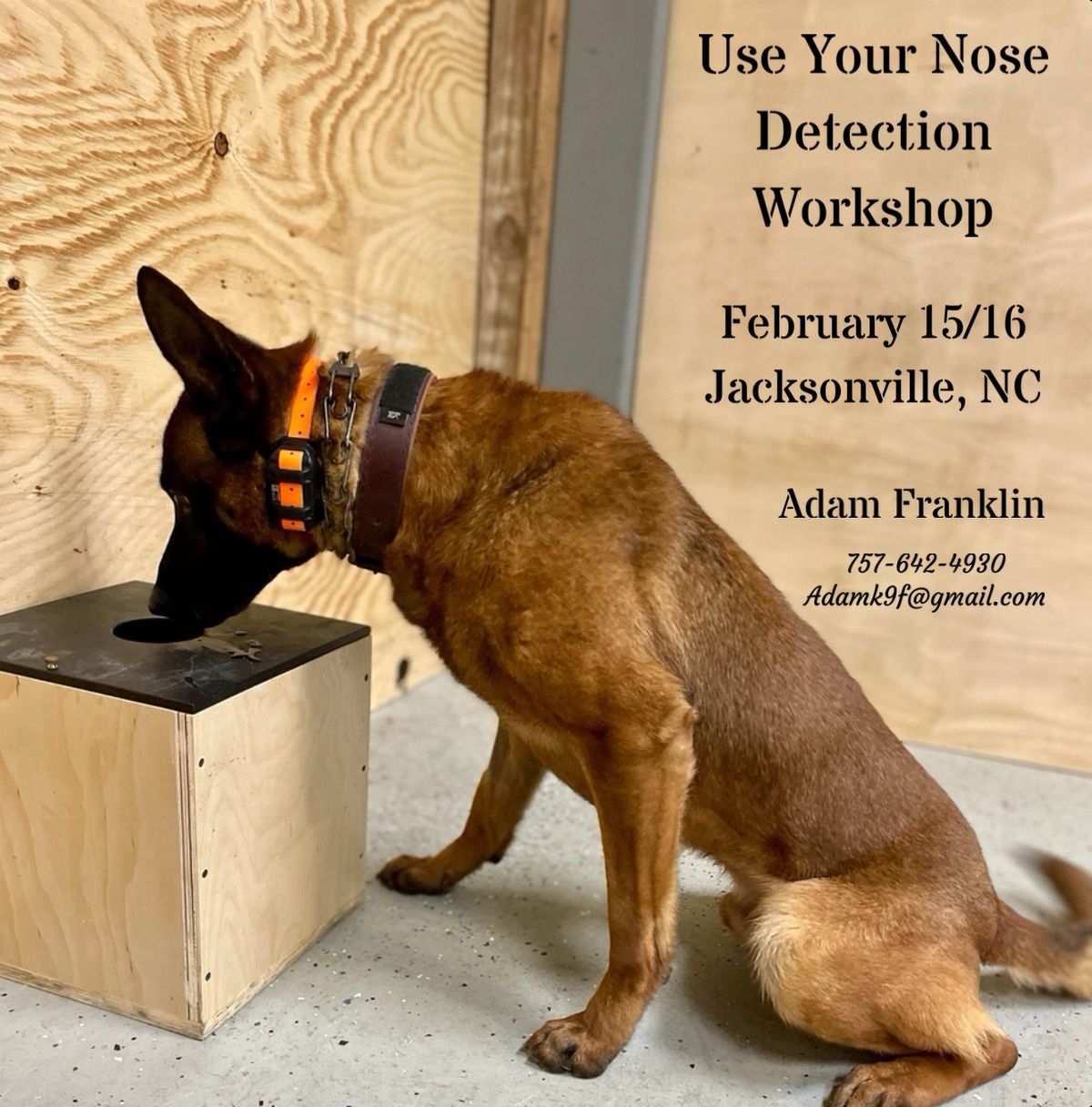 Use Your Nose Detection Workshop