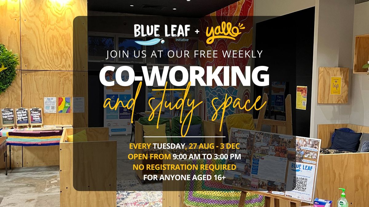 Free Weekly Co-Working and Study Space