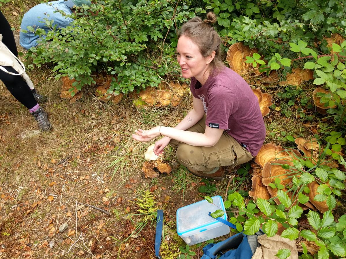 Autumn Foraging at NT Hardcastle Crags