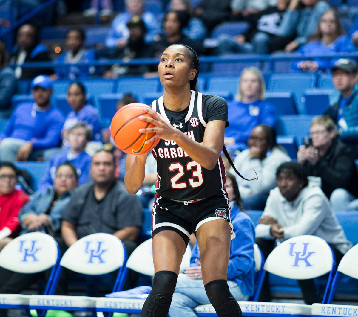 Kentucky Wildcats at South Carolina Gamecocks Womens Volleyball