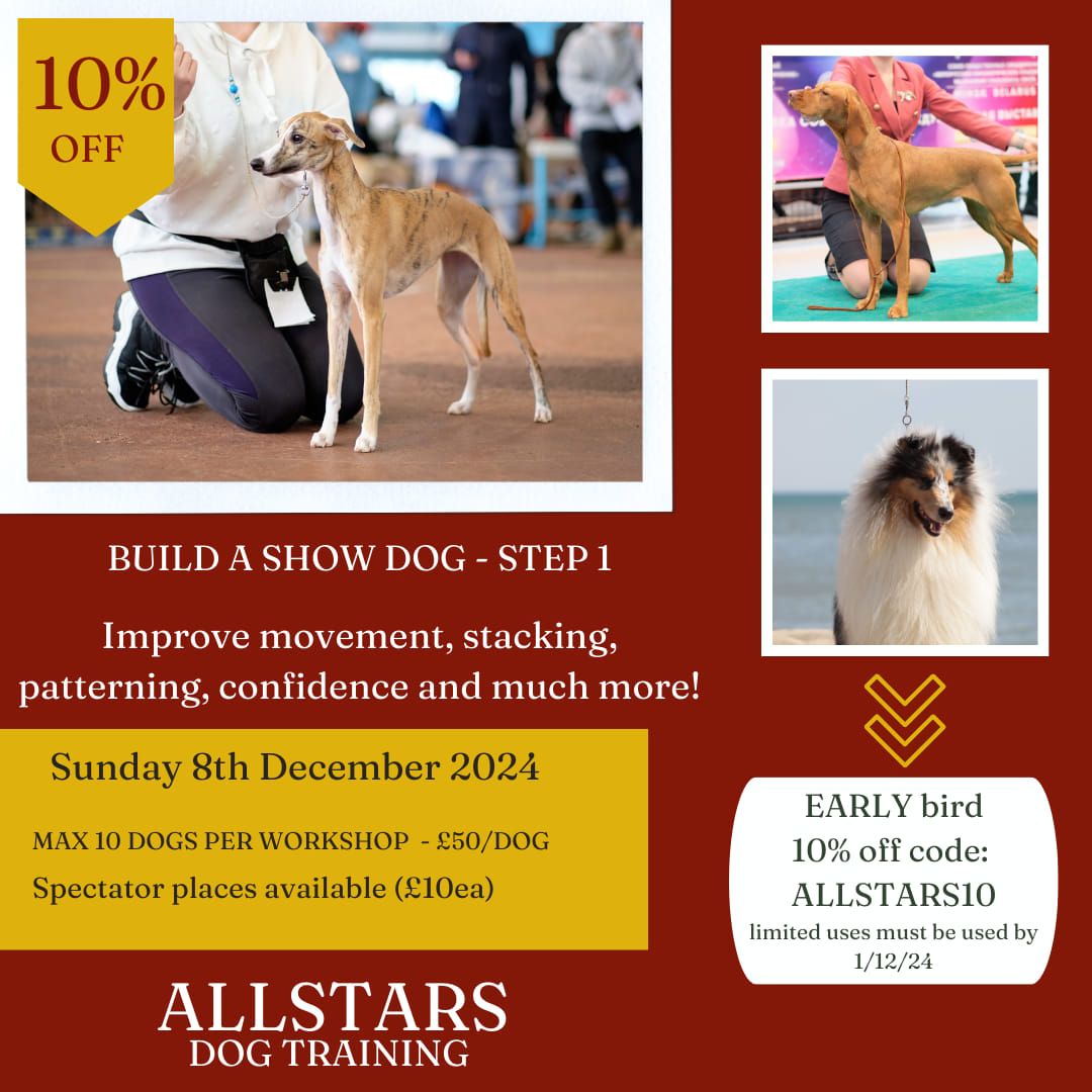 build a show dog - Step 1