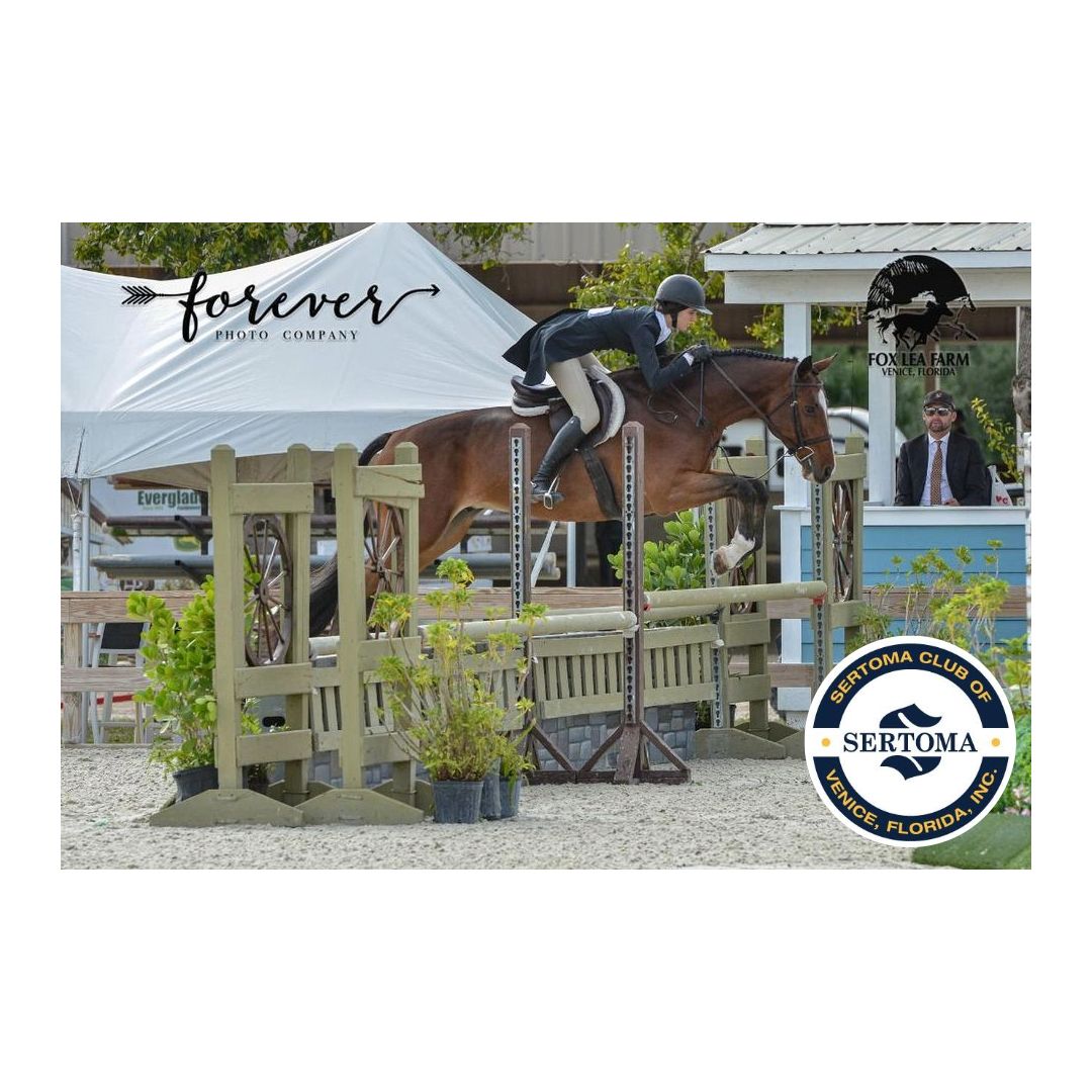 Ride & Drive Charity Challenge- "Show Jumping Under the Stars"