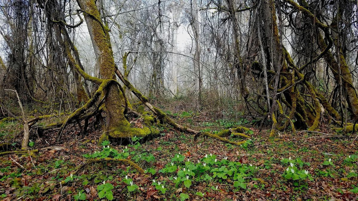 Open Lands Day at the Rogue River Preserve