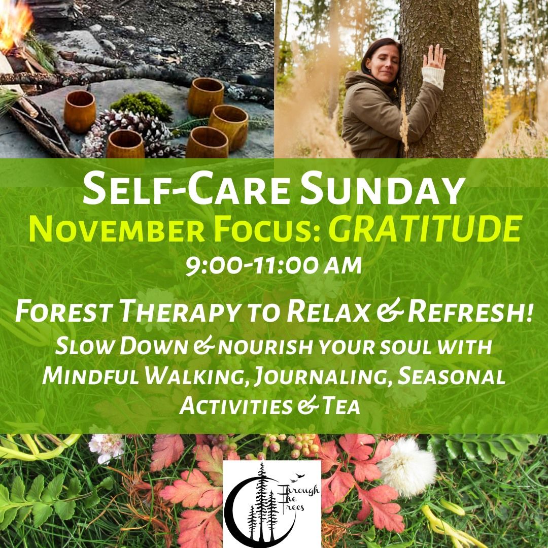 Self-Care Sunday: Forest Therapy to Relax & Refresh (GRATITUDE)