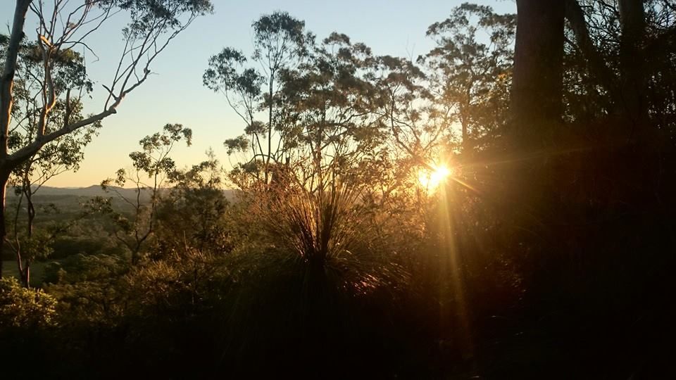 Pomona bush walking group