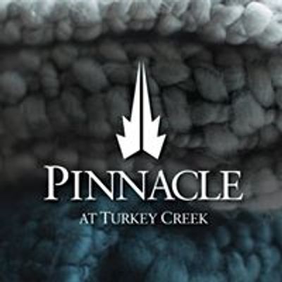 Pinnacle at Turkey Creek