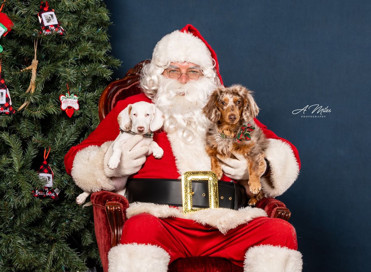 Pet Pictures with Santa by A Miles Photography 