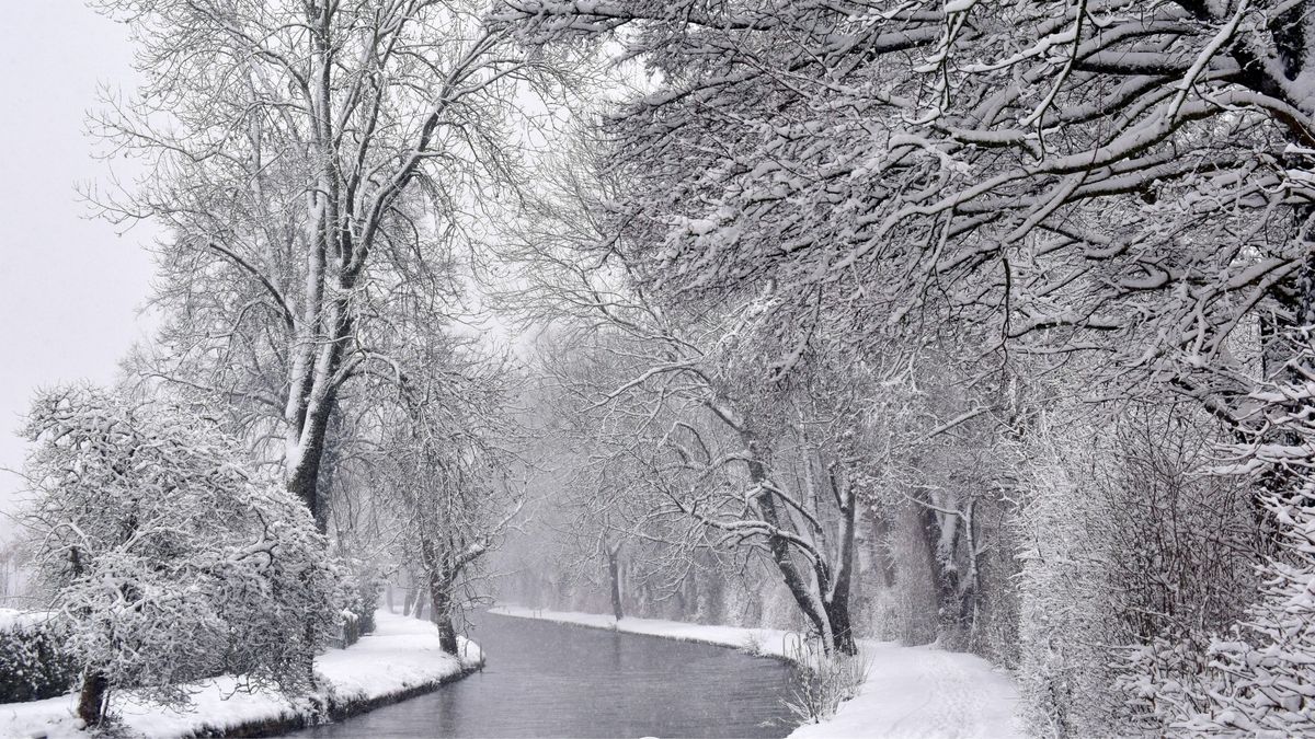 J.S. Bach\u2019s Long Walk in the Snow