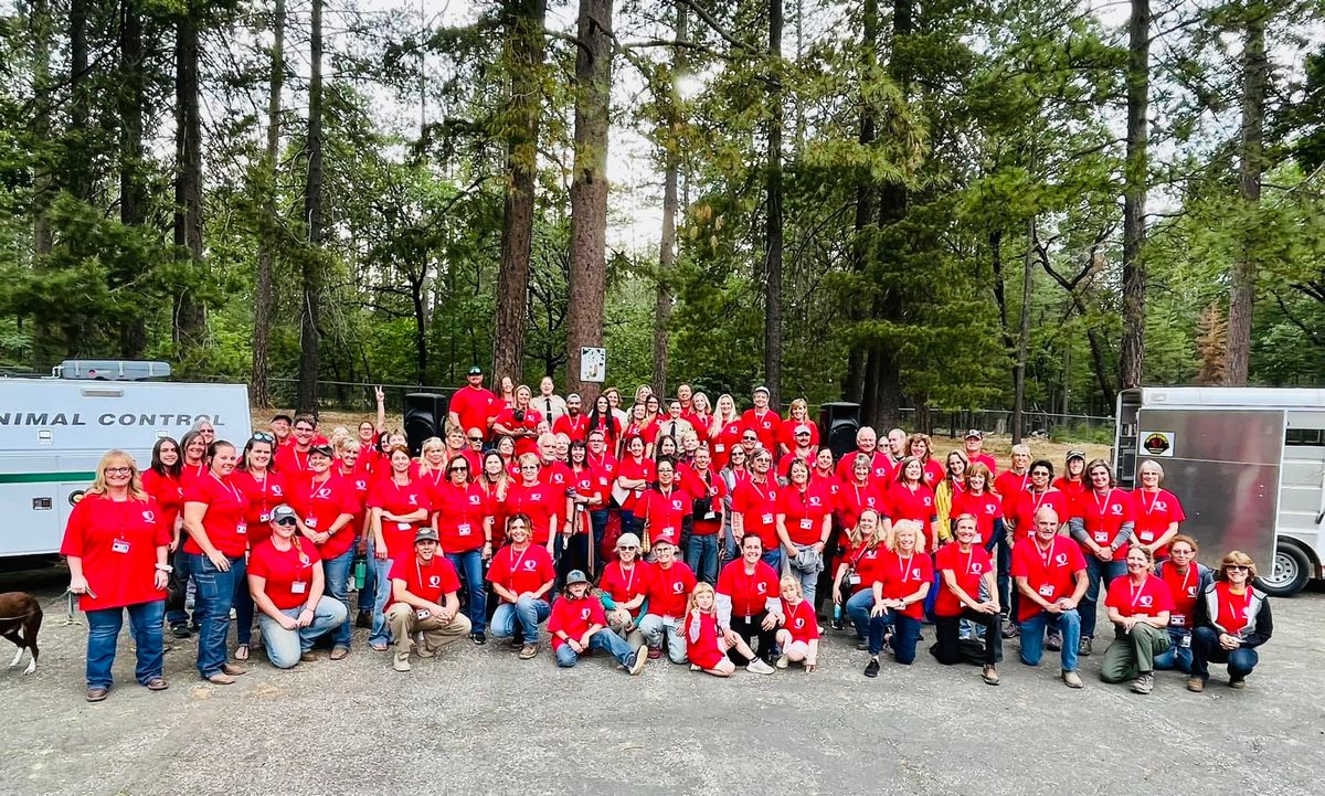 Volunteer Appreciation Luncheon 