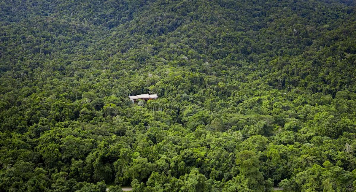 Retreat In the Ancient Daintree Rainforest