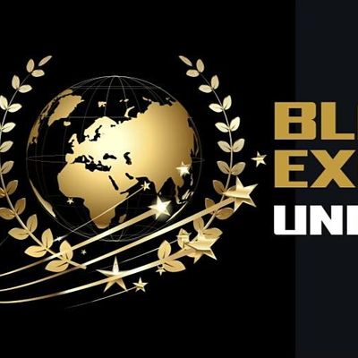 Black Excellence Unity Festival