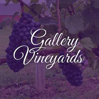 Gallery Vineyards