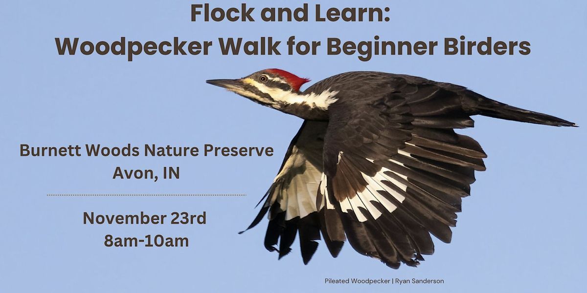 Flock and Learn: Woodpecker Walk for Beginner Birders