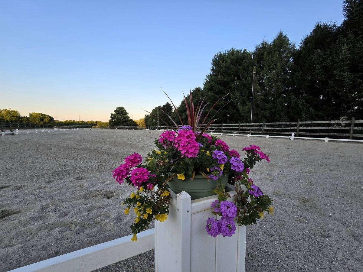 Dressage Clinic with Felicitas von Neumann-Cosel