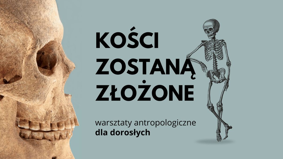 Ko\u015bci zostan\u0105 z\u0142o\u017cone - warsztaty antropologiczne dla doros\u0142ych