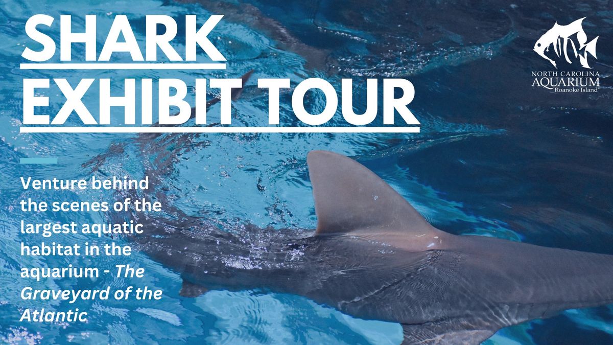 Shark Exhibit Tour