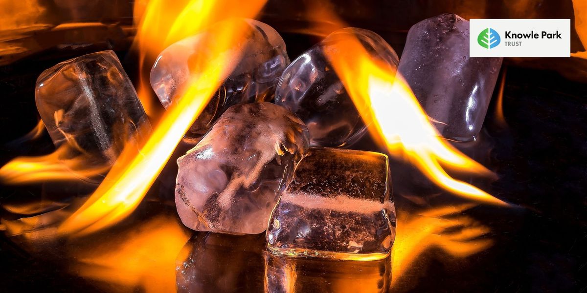 Fire & Ice in the Park: Hot Yoga & Ice Bath Workshop