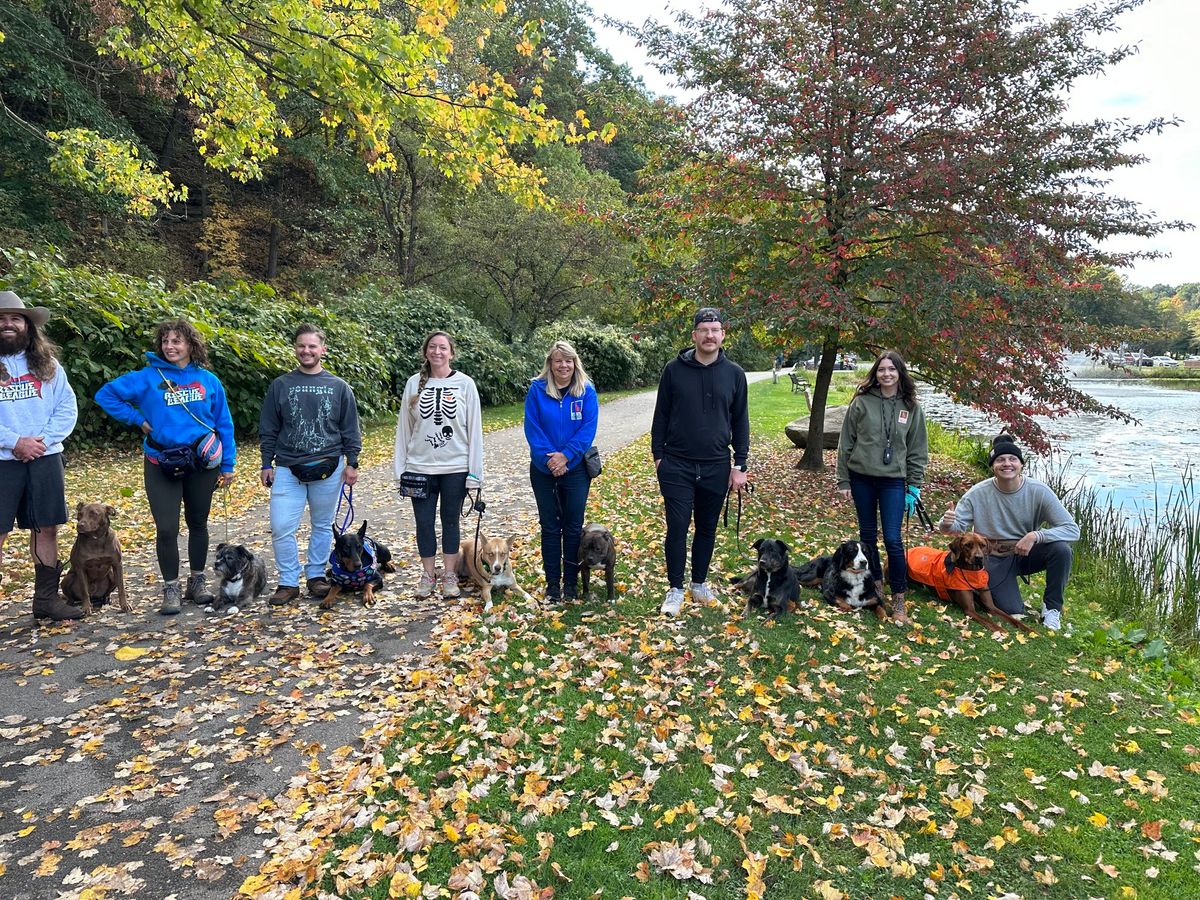 Dog Training at Highland Park