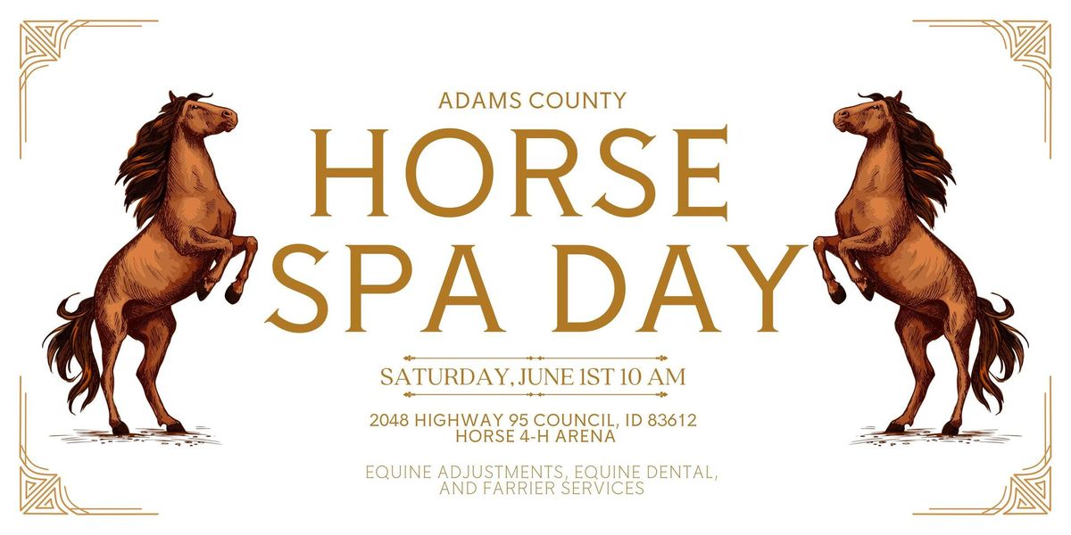 Adam\u2019s County Equine Spa Day 