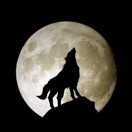 Full Moon Pickin Party 50 Vaughn Rd Nashville Tn 37221 3706 United States 22 May 2021