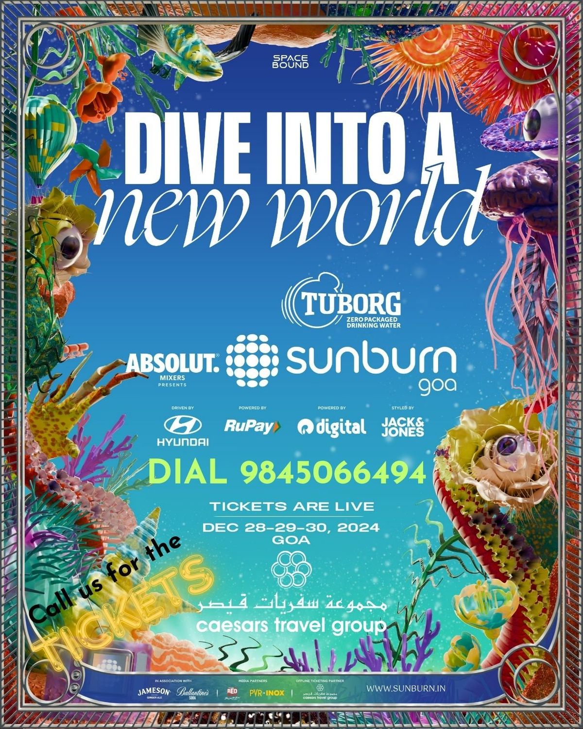 Sunburn Goa