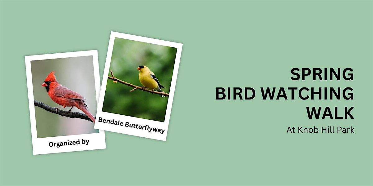 Spring Bird Watching Walk at Knob Hill Park