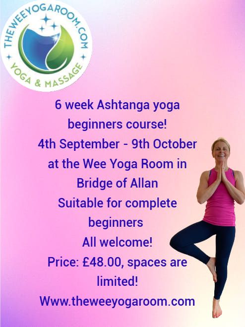 Join our new beginners course!