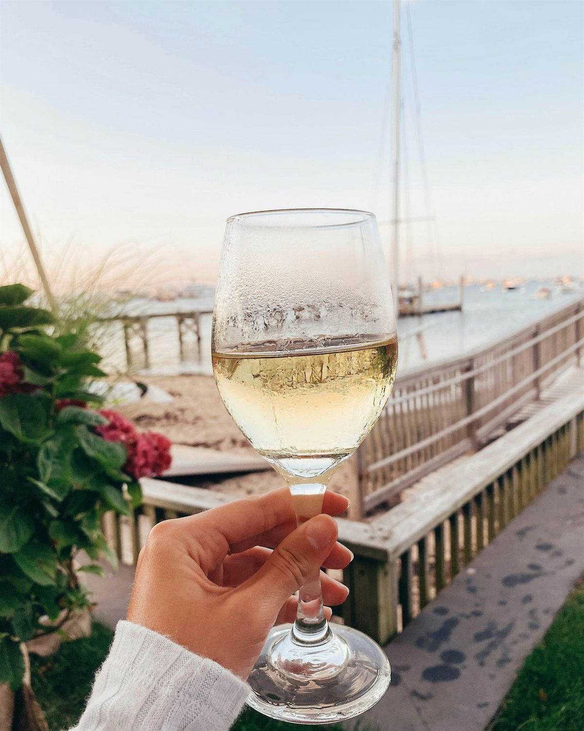 Green Grapes Only: Fresh, Vibrant Wines for Spring, Saint Goose ...